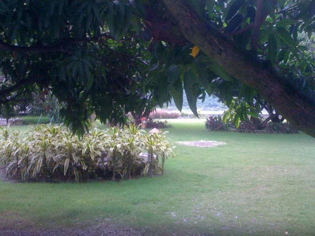 Dewdrop Mango Bloom Resort Jim Corbett National Park Room photo